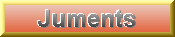 Les juments  la ferme des Shetlands