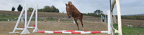 5435.jpg