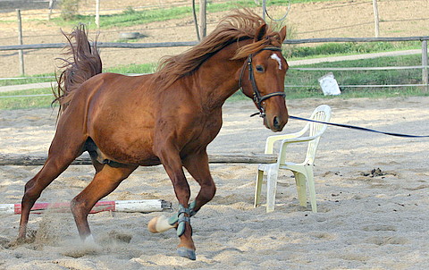 NAMAC_3882.JPG